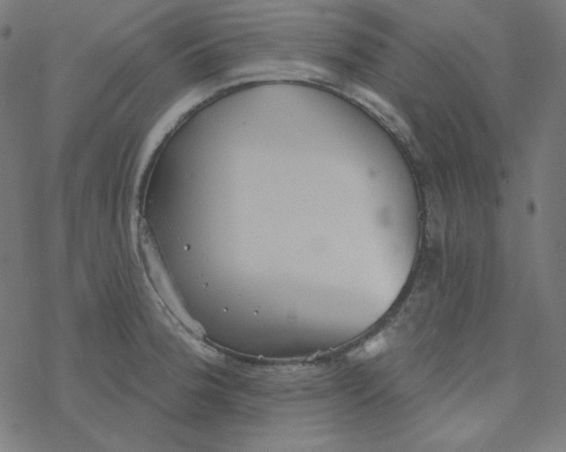 X0000077371188200611031903