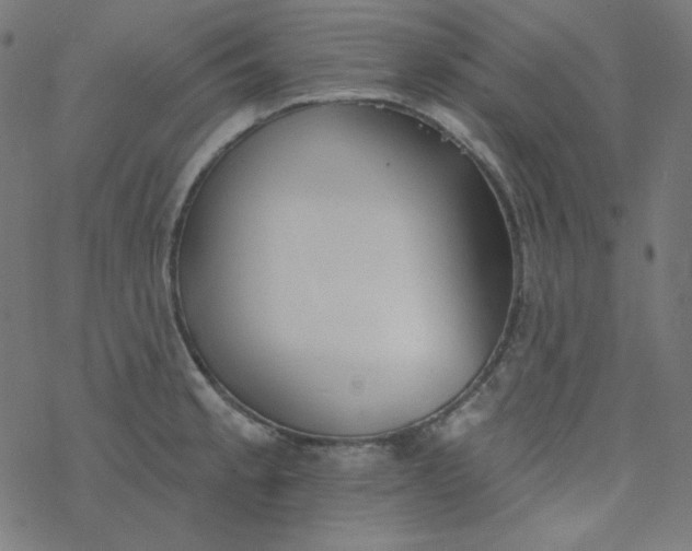 X0000077371189200611031903