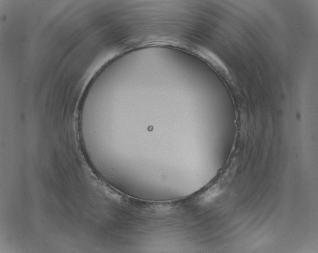 X0000077371190200611031903