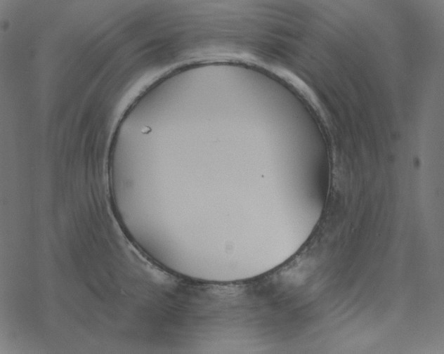 X0000077371191200611031903