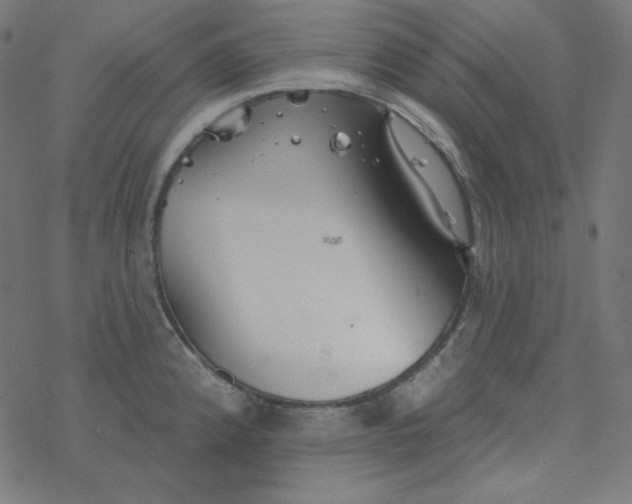 X0000077371192200611031903