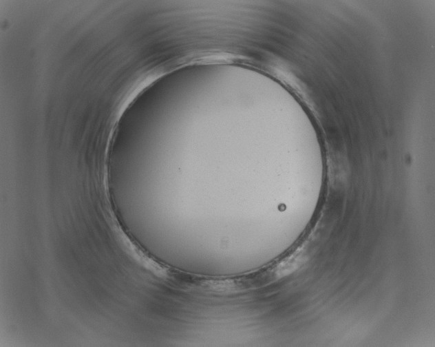 X0000077371194200611031903