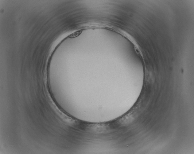 X0000077371195200611031903