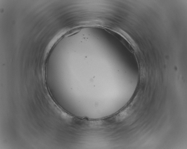 X0000077371196200611031903