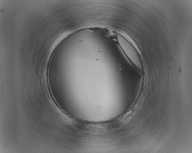 X0000077371197200611031903