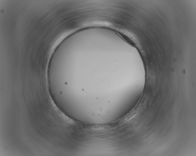 X0000077371199200611031903