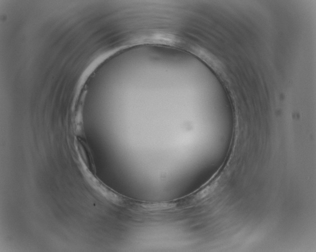 X0000077371200200611031903