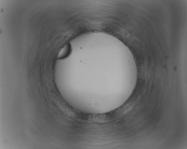 X0000077371201200611031902