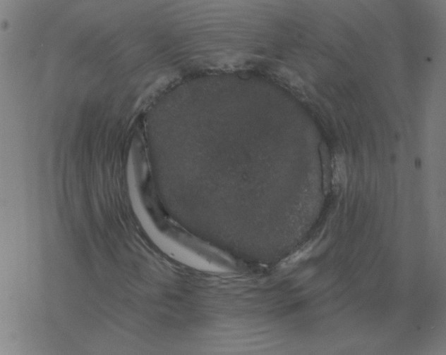 X0000077371202200611031902