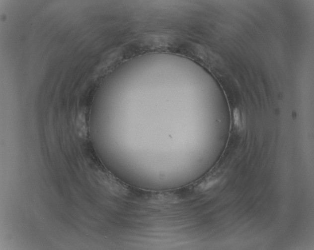 X0000077371203200611031902