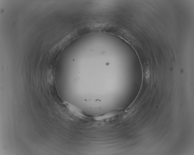 X0000077371204200611031902