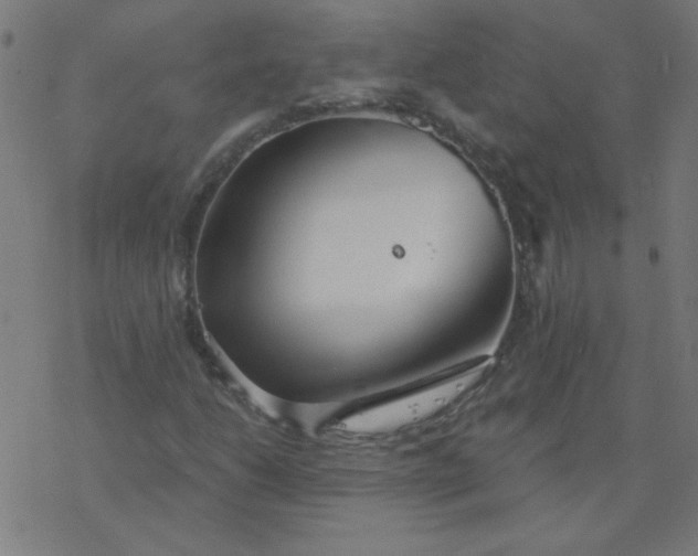 X0000077371206200611031903