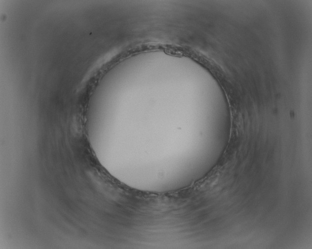 X0000077371207200611031903