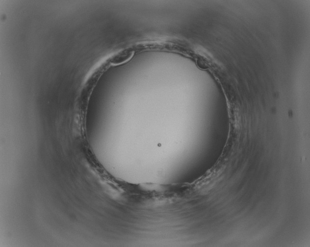 X0000077371208200611031903