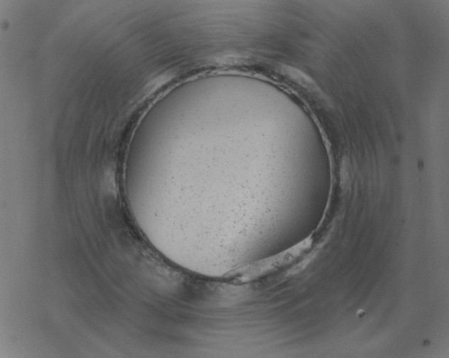 X0000077371209200611031903