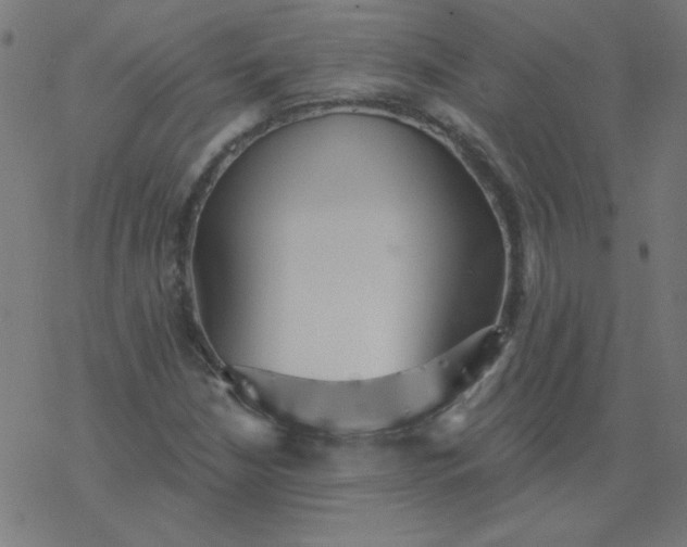 X0000077371210200611031903