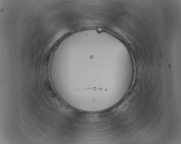 X0000077371211200611031903