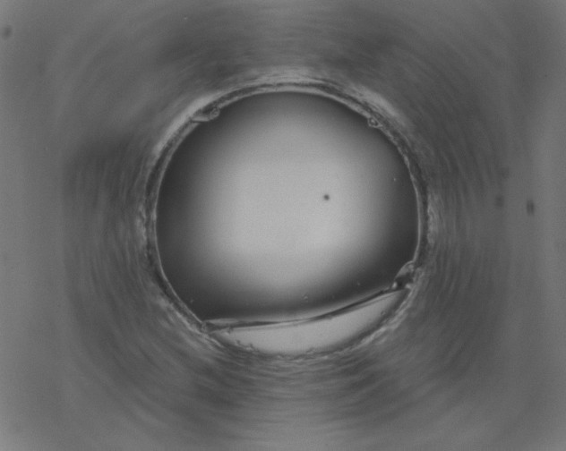 X0000077371212200611031903