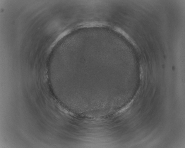 X0000077371213200611031903