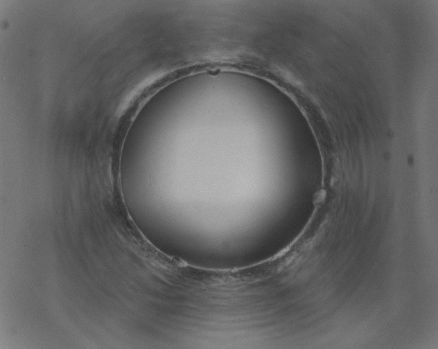 X0000077371214200611031903