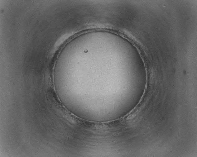 X0000077371215200611031903