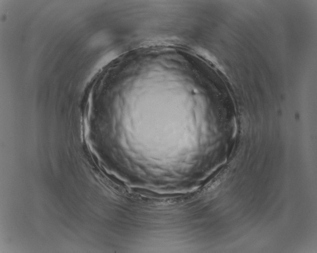 X0000077371219200611031903