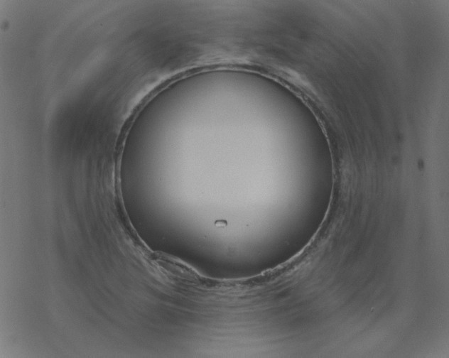 X0000077371220200611031903