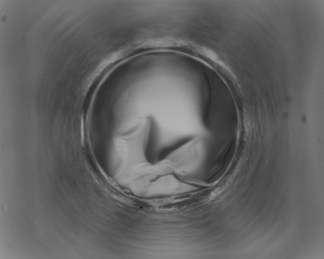 X0000077371221200611031903