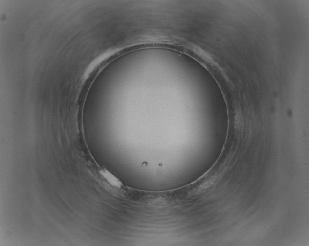 X0000077371222200611031903