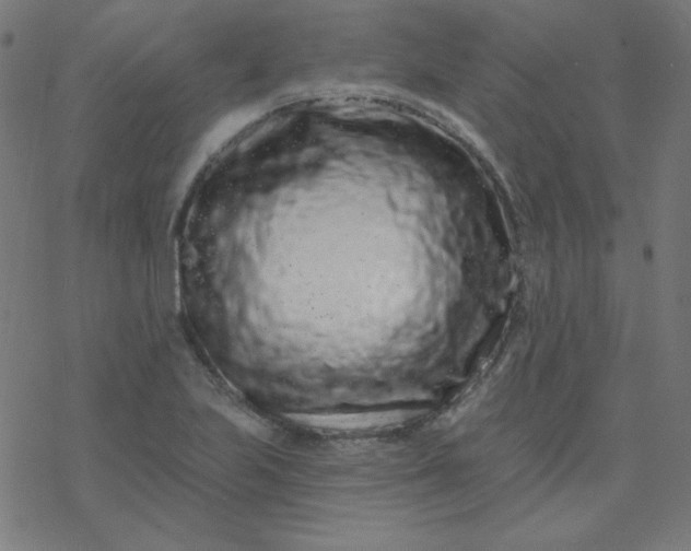 X0000077371223200611031903