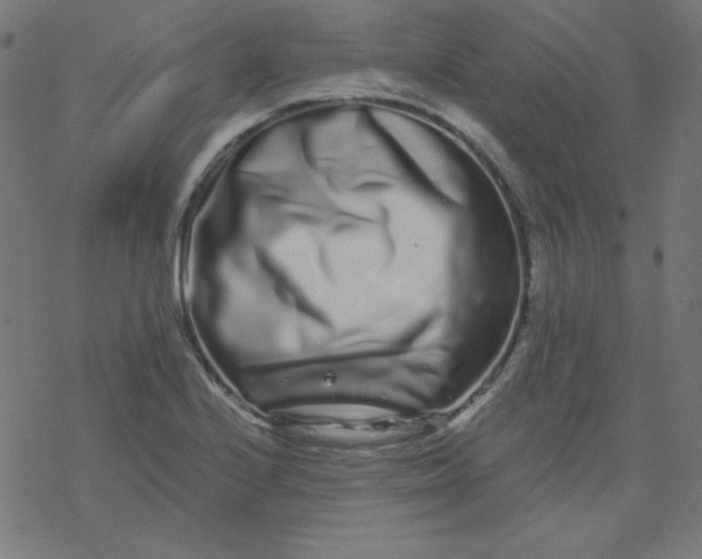 X0000077371224200611031903