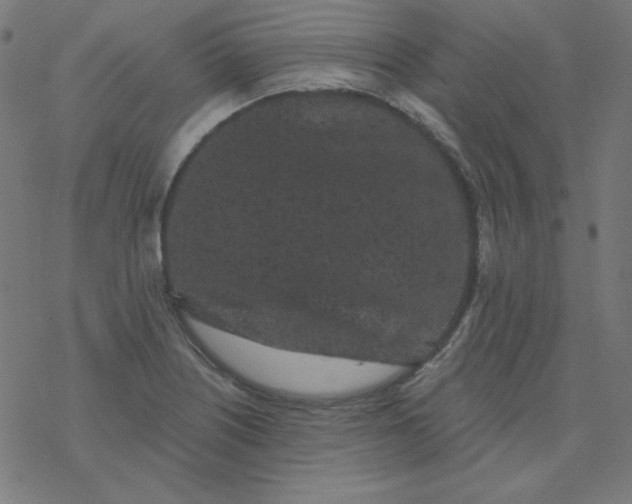 X0000077371226200611031903