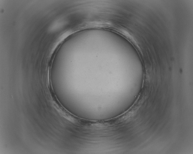 X0000077371227200611031903