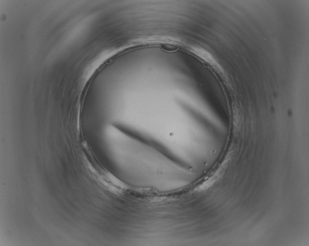 X0000077371228200611031903