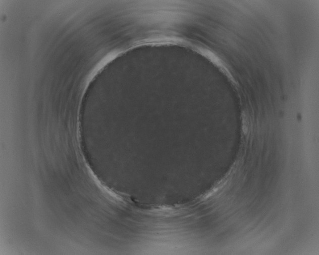 X0000077371229200611031903