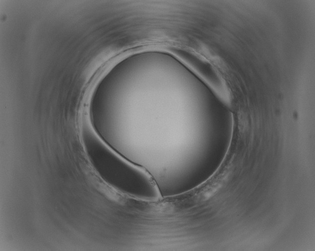 X0000077371230200611031903