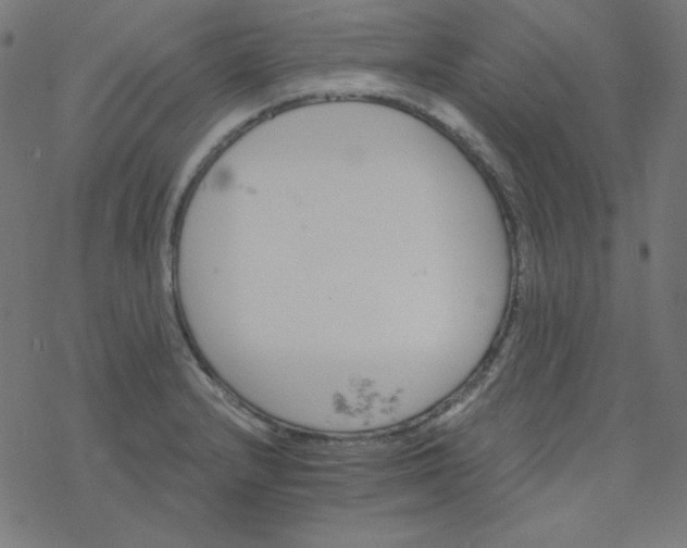 X0000077371232200611031903