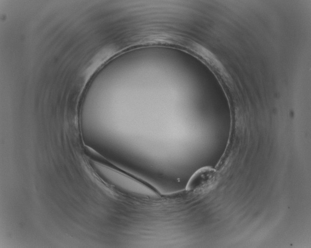 X0000077371234200611031903