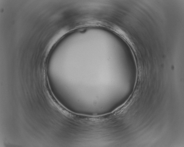 X0000077371235200611031903