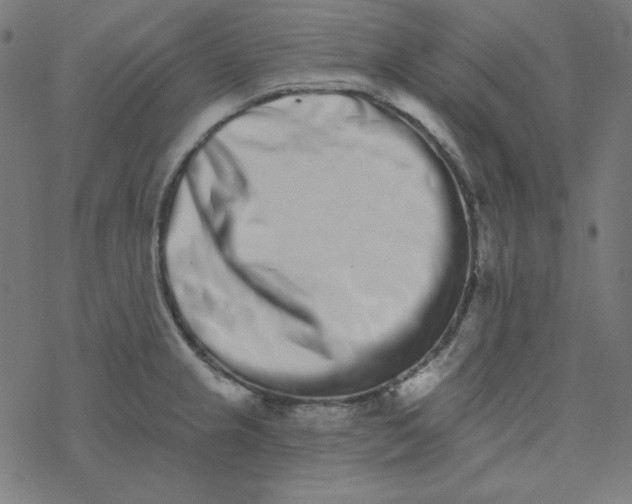 X0000077371237200611031903