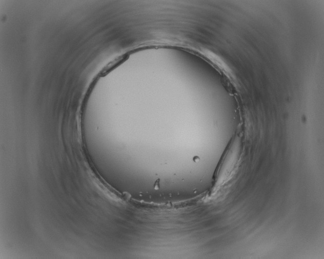 X0000077371238200611031903