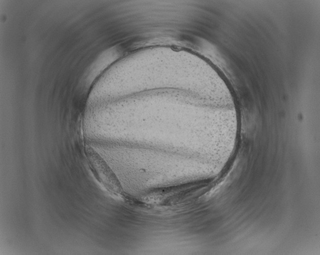 X0000077371241200611031903