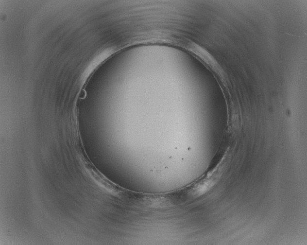 X0000077371242200611031903