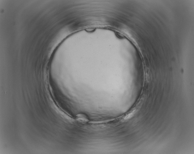 X0000077371243200611031903