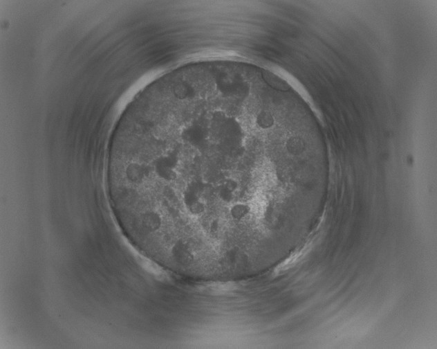 X0000077371245200611031903