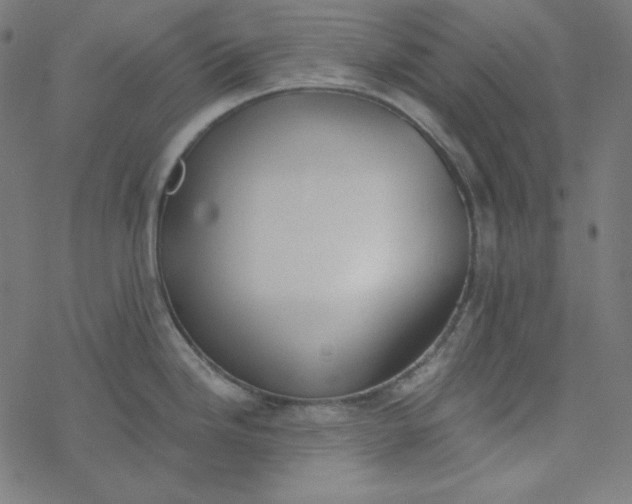 X0000077371246200611031903