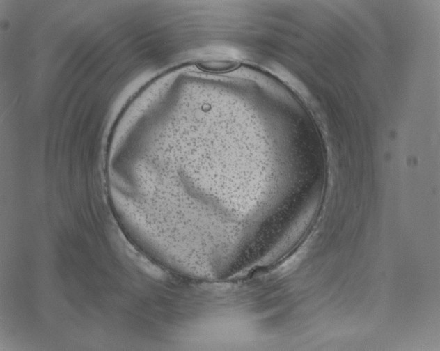 X0000077371248200611031903