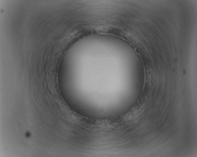 X0000077371249200611031902