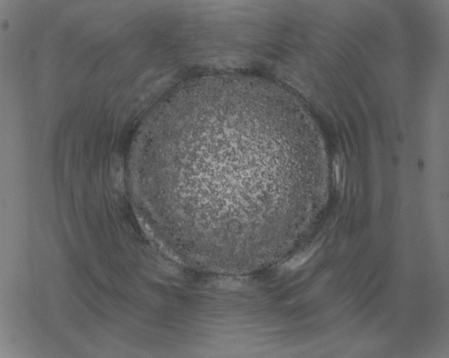 X0000077371251200611031902