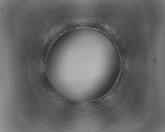 X0000077371253200611031902